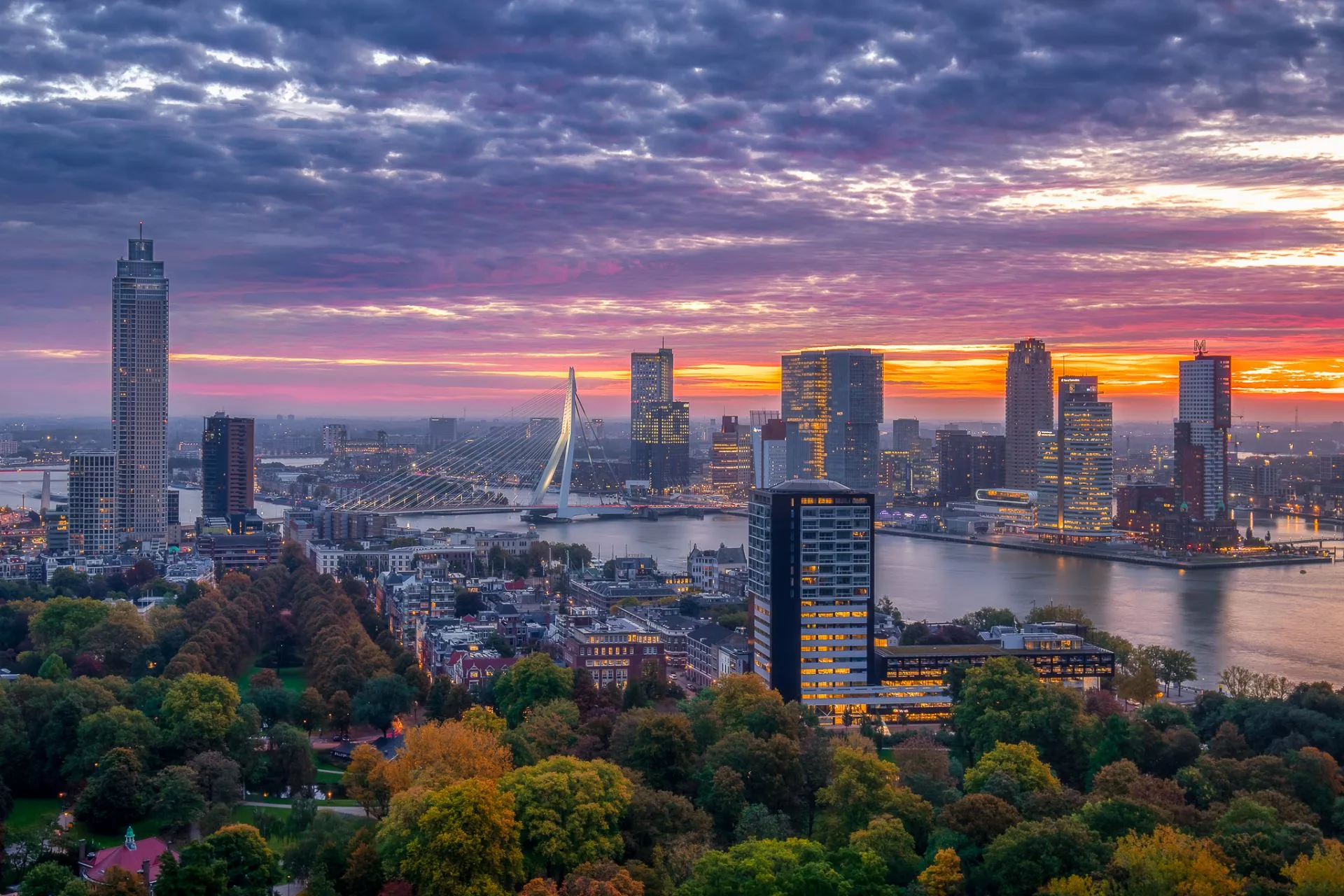 Rotterdam skyline